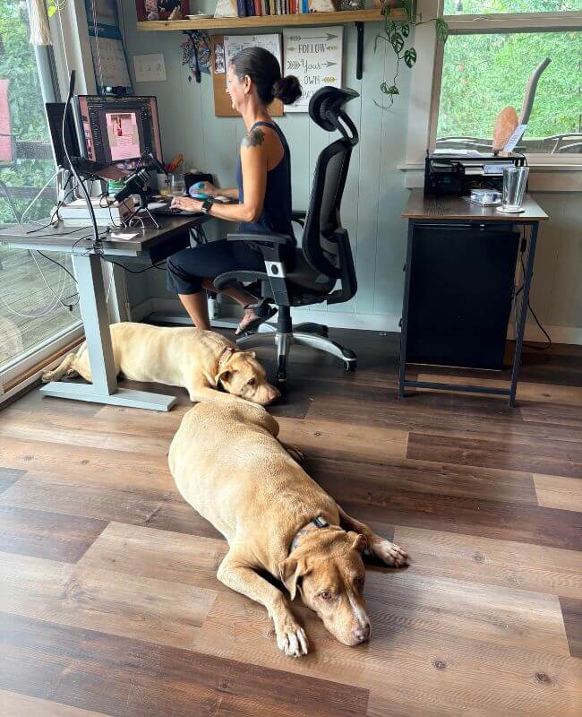 Rachel Cline, midlife transition coach, working at her desk with her dogs in the Shenandoah Valley