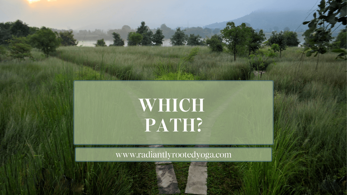 Misty green meadow at sunrise where a stone footpath splits in two, with the words Which Path? on a sage panel